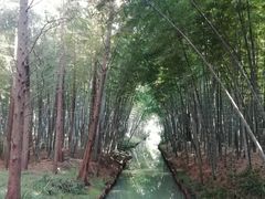 -同里国家湿地公园