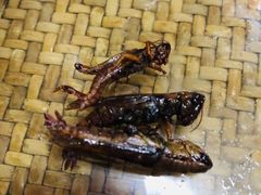 -沐毫傣泐云南菜孔雀宴•手抓饭傣味烧烤(曼听公园店)