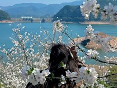 -溪口-滕头旅游景区