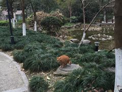 -新湖明珠城