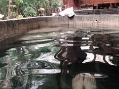 -龙达温泉生态城