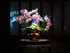 -三嚥阁 La Villa Restaurant