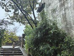 -黎里古镇