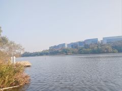 -华侨城湿地公园