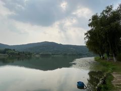 -长广溪湿地公园