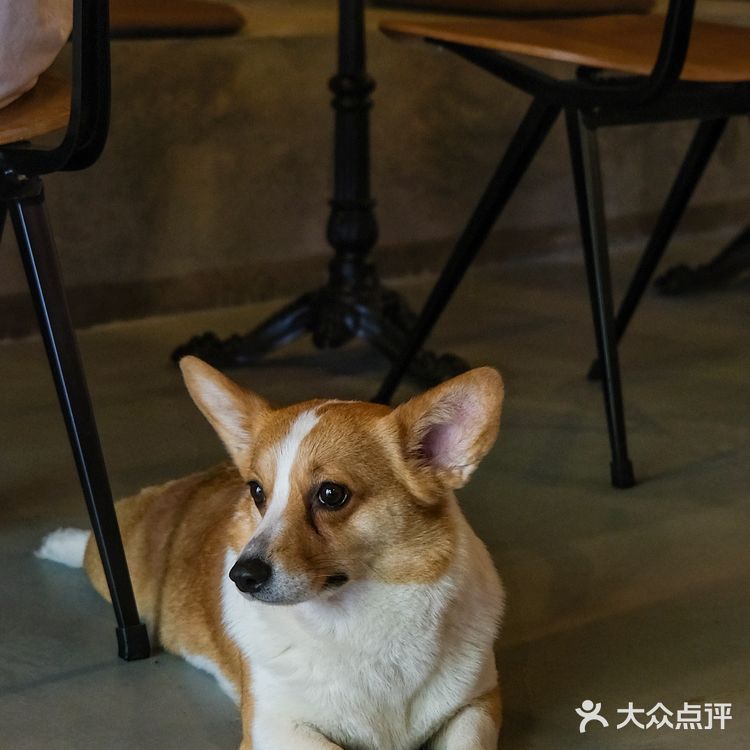成都新店🧱老小区里的红砖工业风，早C晚A