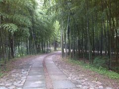 android_upload_pic-黄公望隐居地