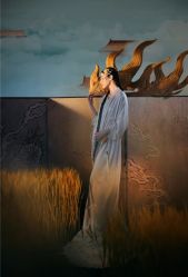 -金夫人婚纱摄影(总店)