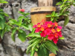 -浙东革命根据地纪念馆