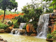 -广州市帽峰山景区