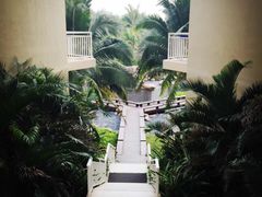 iphone_upload_pic-神州半岛喜来登度假酒店