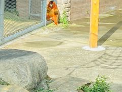 -上方山森林动物世界