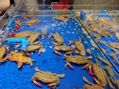 -上和臻品中国菜(花园街店)