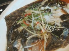 清蒸多宝鱼-新吉阳酒店(檀溪路店)