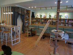 大堂-MOYOYO猫咪咖啡店