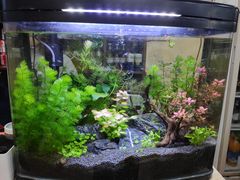 -潮汕良记牛肉火锅(洪武路店)