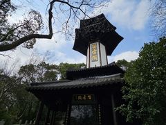 -上海佘山国家森林公园天马山园