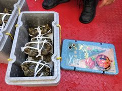 -蟹天蟹地农家菜·阳澄湖大闸蟹(浅水湾店)