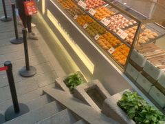 -月枫堂(长春这有山店)