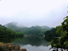 -黔灵山公园