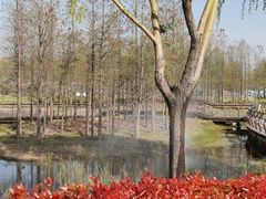 -北龙湖湿地公园