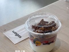 -Wagas沃歌斯(虹桥机场T1店)
