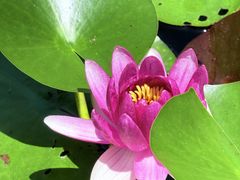 -昆山城市生态森林公园