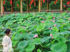 -广州莲花山旅游区