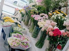 -淘花源花艺鲜花店 开业花篮 绿植(南部商务区店)