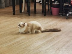 -iF摄影•全家福•证件照•形象照(南山店)