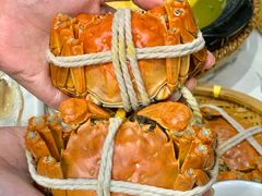 -蟹天蟹地农家菜·阳澄湖大闸蟹(浅水湾店)