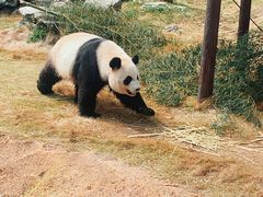 -杭州野生动物世界