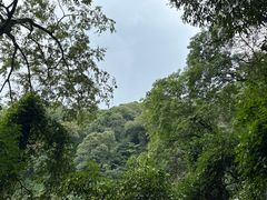 -青城山