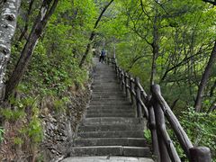 -秦岭天竺山生态文化旅游景区