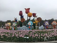 -上海鲜花港