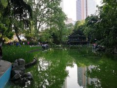 -静安公园(静安寺街道)