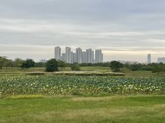 -盘龙城国家考古遗址公园