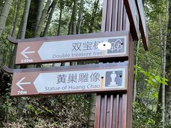 -仙霞关景区