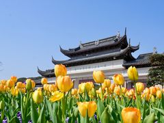 -苏州上方山国家森林公园