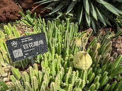 -昆明植物园