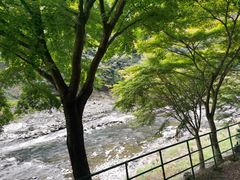 -岚山嵯峨野观光小火车