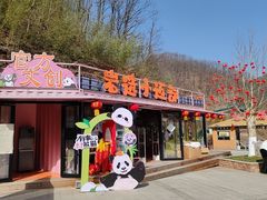 -栾川竹海野生动物园