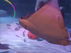 -沈阳海洋探索中心