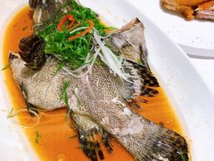 清蒸龙胆斑-凯逸轩·匠心粤菜(中城名仕汇店)