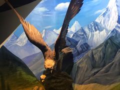 -陕西自然博物馆