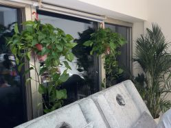 -丽心自助美甲美睫