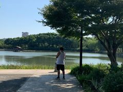-圩墩遗址公园