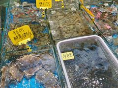 -船奇蒸汽海鲜·闽菜(八市海鲜总店)