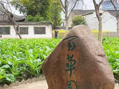 -绍兴鲁迅故里·沈园景区