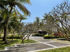 -采粤轩中餐厅(惠州金海湾喜来登度假酒店)